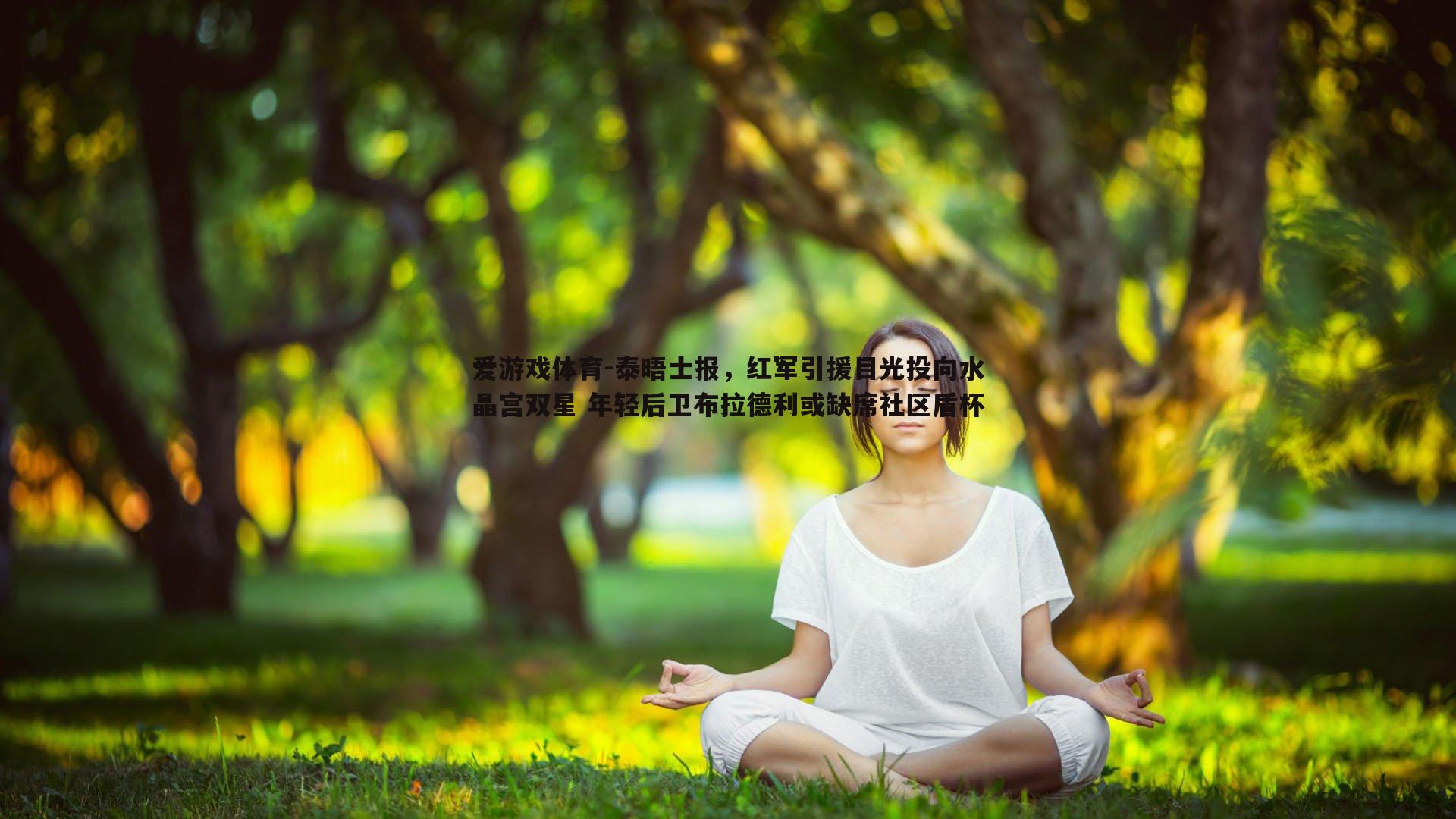 爱游戏体育-泰晤士报，红军引援目光投向水晶宫双星 年轻后卫布拉德利或缺席社区盾杯