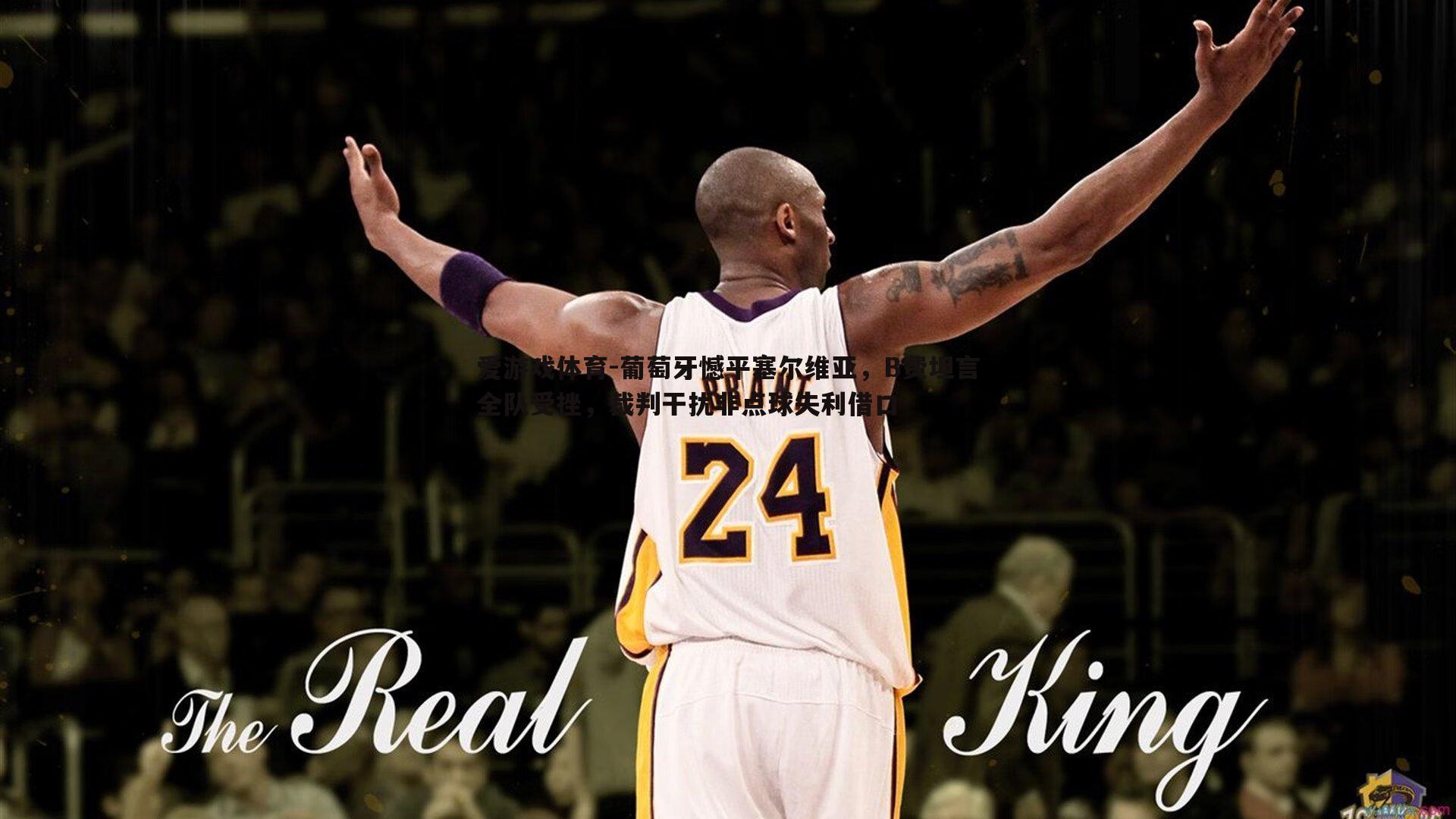 爱游戏体育-葡萄牙憾平塞尔维亚，B费坦言全队受挫，裁判干扰非点球失利借口